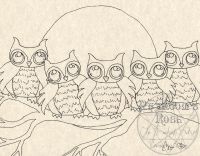 Owl Conglomeration